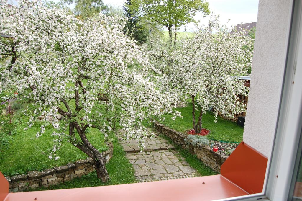 Penzión Belvia Nová Lesná Exterior foto